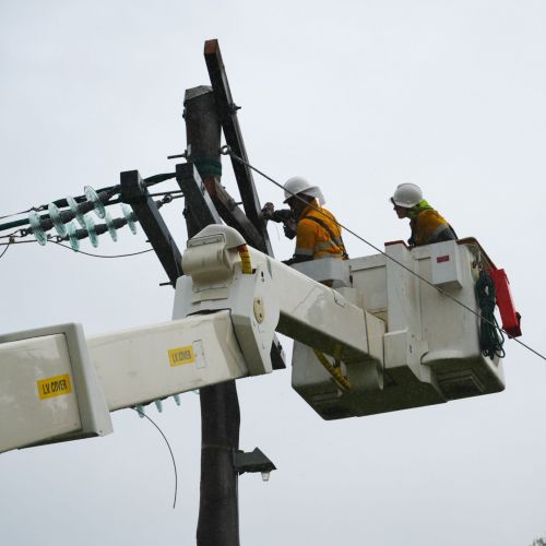 Crews working on powerlines in Paluma