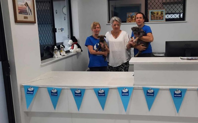 three female staff holding dogs standing behind entrance desk with Ergon Bunting at the front