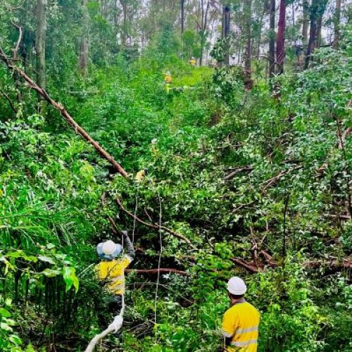 Crews amongst bush restoring power