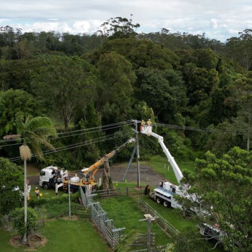 Aerial view of crews in cherry pickers working on powerlines surrounded by rainforest