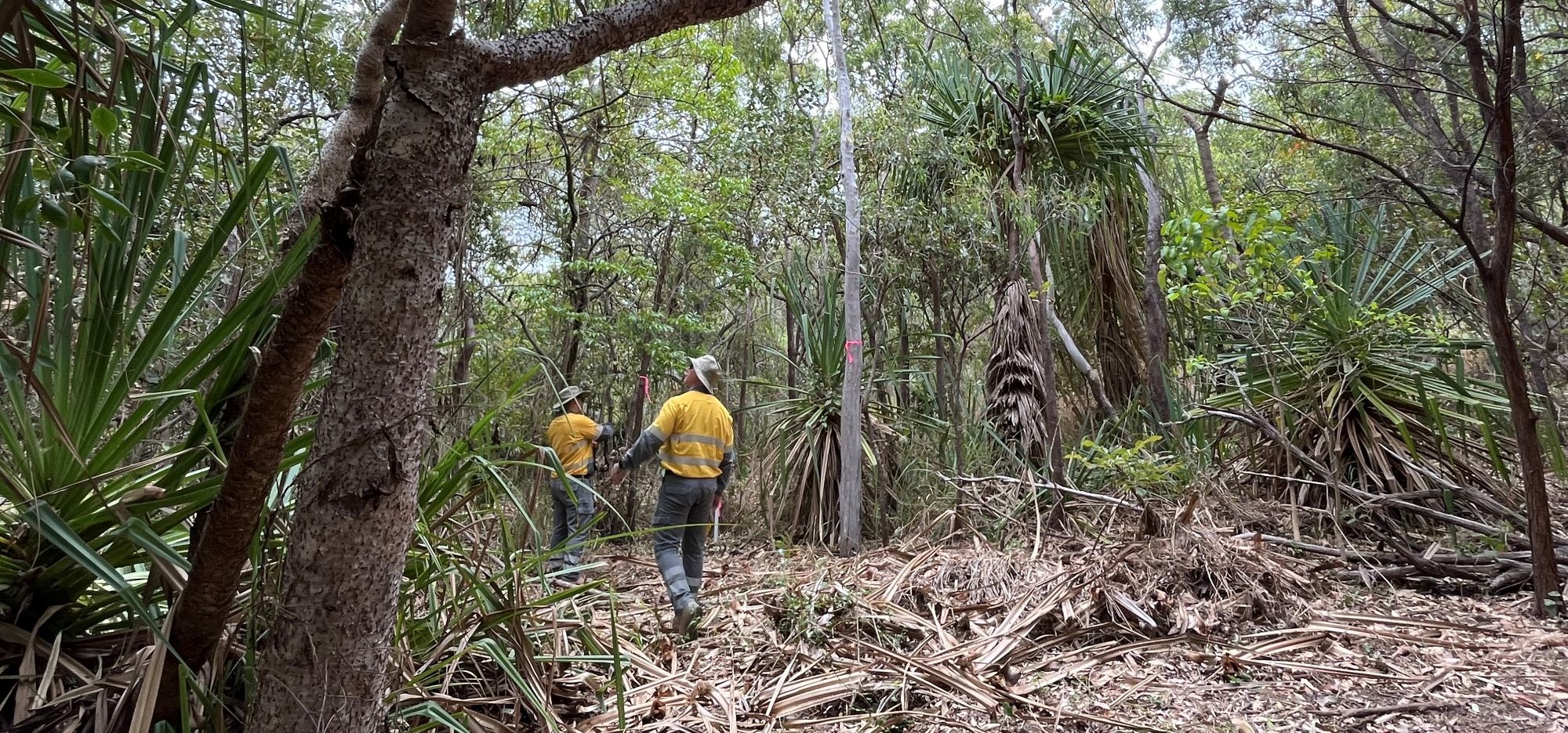 Scoping in the National Park at Picnic Bay