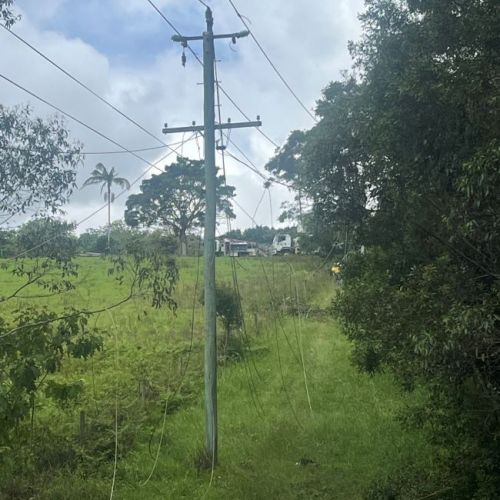 Powerlines hanging from powerlines in paddock