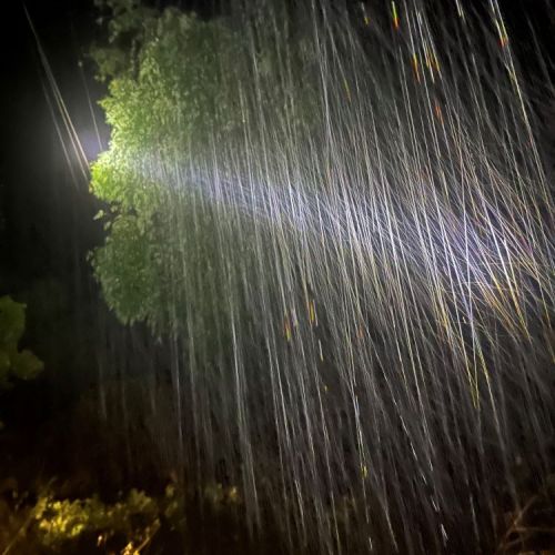 Heavy rain with torch showing bamboo in high-voltage lines