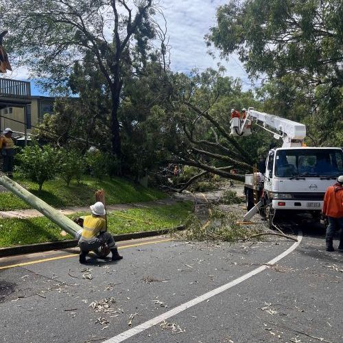 Crews on a street with a vehicle removing tree debris