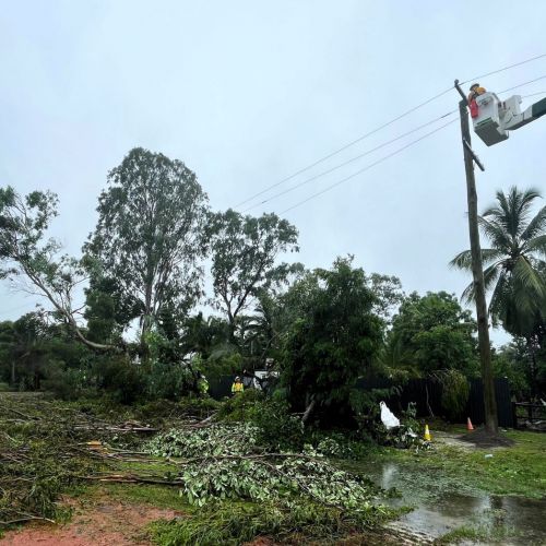 Crews working on tree damage at Bluewater