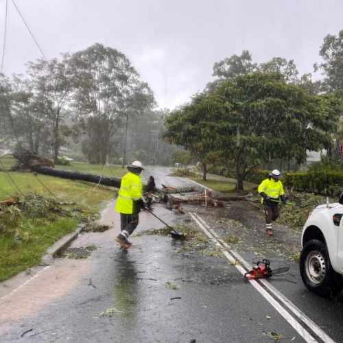 Crews working on clearing trees off a road