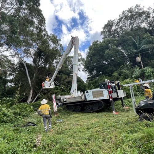 Crews with heavy vehicles working on powerlines in rainforest