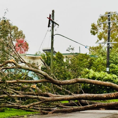 Tree over powerlines in Rosslea