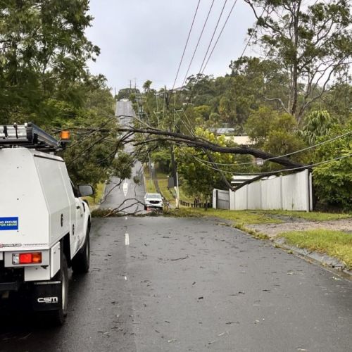 Tree over powerlines at Shailer Park