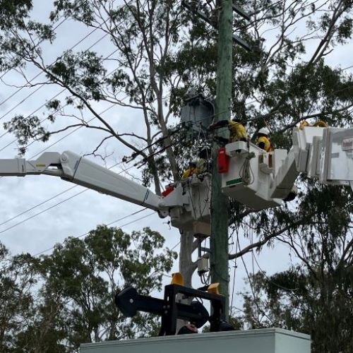 Crews in cherry pickers working on powerlines with gum trees in background