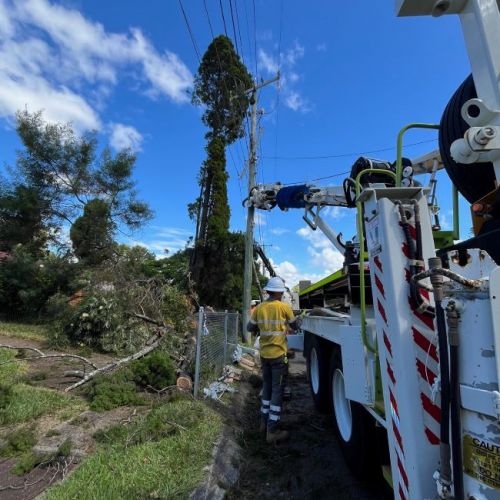 Crew member next to work vehicle with tree debris on footpath