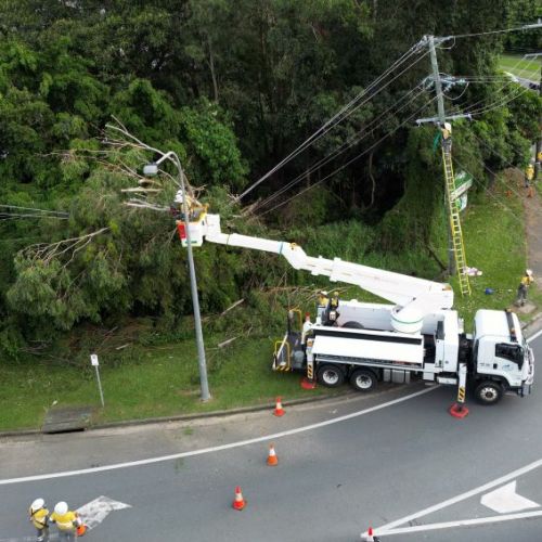 Aerial view of crews working to remove tree from powerlines