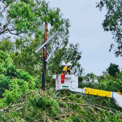 Crews working on trees across powerlines at Bluewater