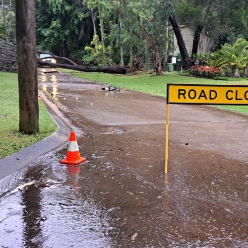 Tree down into the network on a street at Karragarra Island