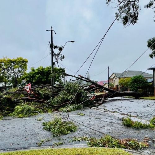 Trees across powerlines in a residential area at Upper Mount Gravatt