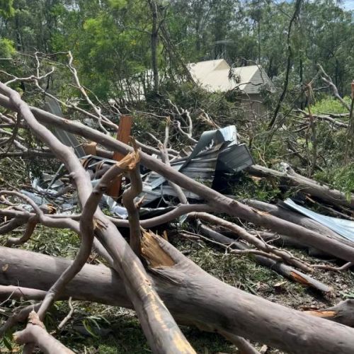 Fallen trees from the cyclone in a yard of residential house