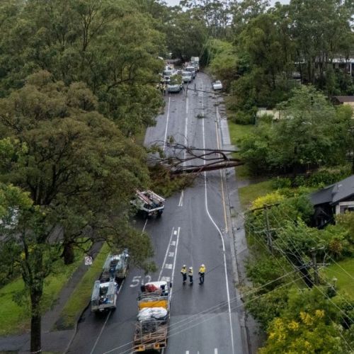 Aerial view of crews on street working with trees across powerlines on road