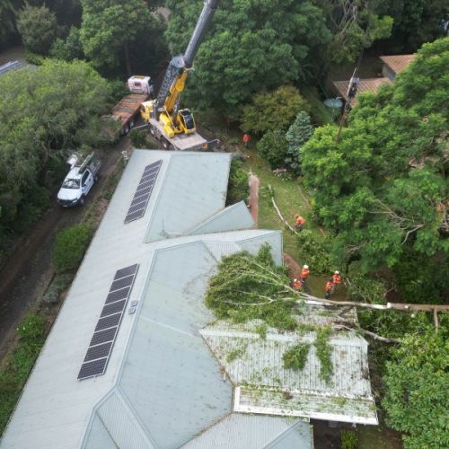 Aerial view of fallen tree over roof of house and workers helping to remove