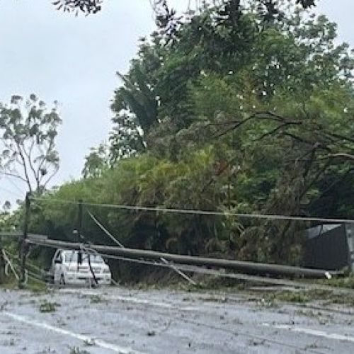 Powerlines down at the Gold Coast