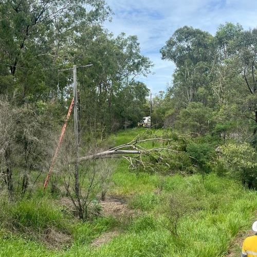 Crews working in bushland to restore power at Kallangur