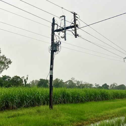 Transformer on a powerpole near sugar cane field