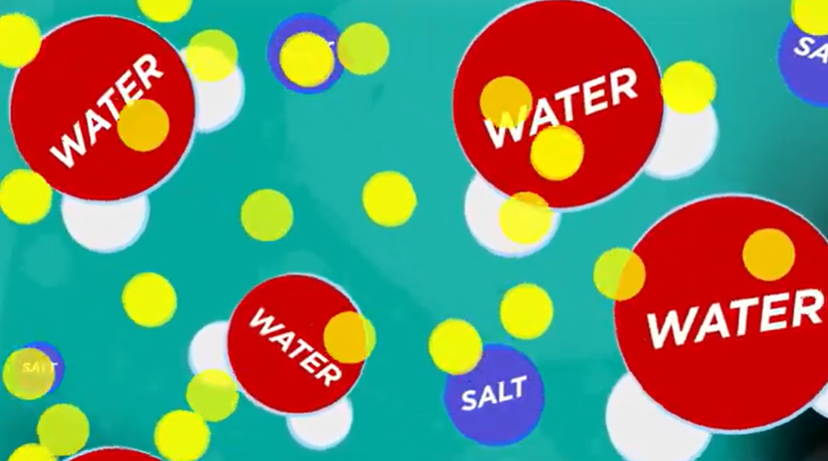 A diagram of circles with the word Water and Salt reflecting atoms and molecules