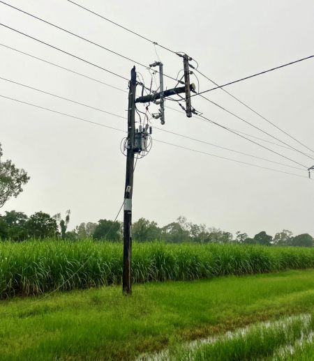 Transformer on a powerpole near sugar cane fields